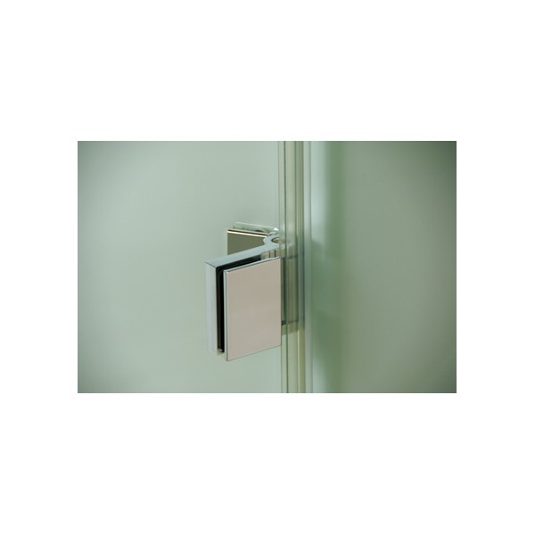 Drzwi prysznicowe FLINTER Typ 1